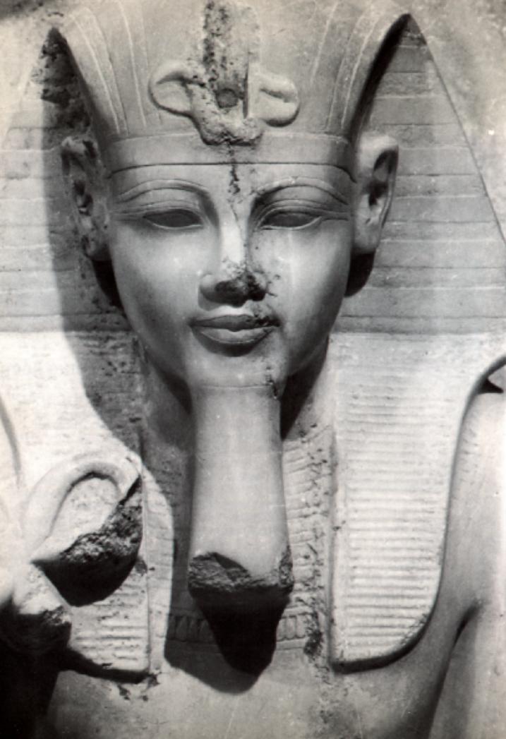Amnophis III